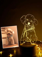 Load image into Gallery viewer, Custom Pet Portrait LED Lights