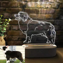 Load image into Gallery viewer, Custom Pet Portrait LED Lights