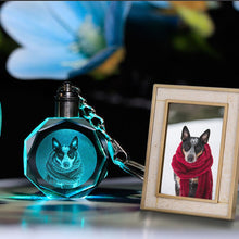 Load image into Gallery viewer, Custom Pet Portrait LED Key Chain