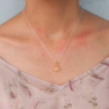 Load image into Gallery viewer, Golden Moon Silver Bunny Necklace