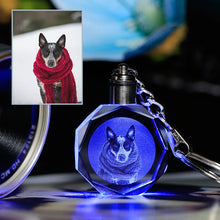 Load image into Gallery viewer, Custom Pet Portrait LED Key Chain